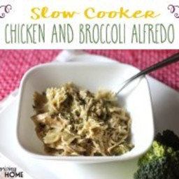 Slow Cooker Chicken and Broccoli Alfredo Recipe