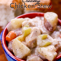 Slow Cooker Creamy Chicken Stew