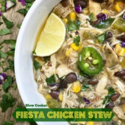 Slow Cooker Fiesta Chicken Stew
