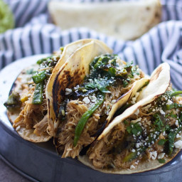 Slow-Cooker Poblano and Honey Lime Chicken Tacos