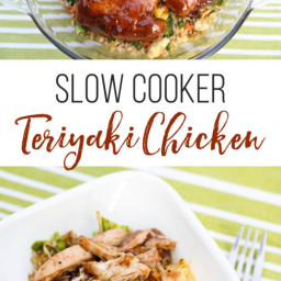 Slow Cooker Teriyaki Chicken {Freezer Meal}