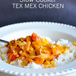 Slow Cooker Tex Mex Chicken