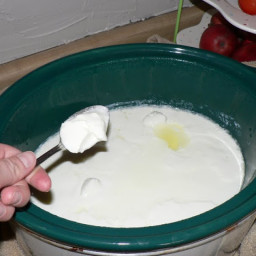 Slow cooker Yogurt