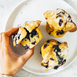 Small Batch Blueberry Muffin Recipe » Hummingbird High