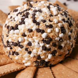 S'mores Cheese Ball