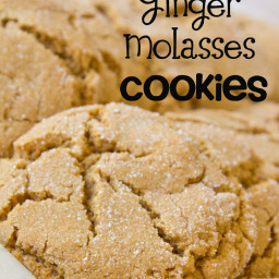 soft-ginger-molasses-cookies-recipe-1217118.jpg