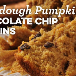 Sourdough Pumpkin Chocolate Chip Muffins