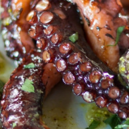 Sous Vide Grilled Octopus