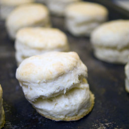 Southern Style Biscuits - Down Home Comfort Food