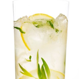 Sparkling Tarragon Gin Lemonade