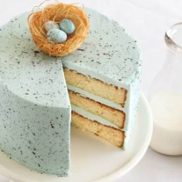 Speckled Egg Malted Milk Cake