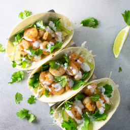 Spice Rubbed Shrimp Tacos with Creamy Lime Sauce