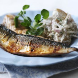 Spiced mackerel with horseradish potatoes