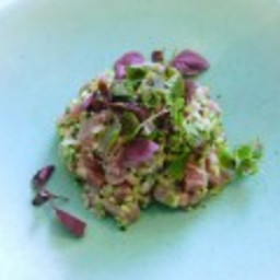 spiced-tuna-tartare-1585108.jpg