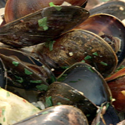 Spicy Mussels with White Wine
