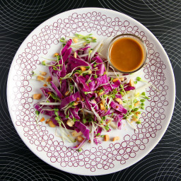 Spicy Red Cabbage Kohlrabi Salad