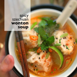 Spicy Shrimp Wonton Soup (Szechuan)