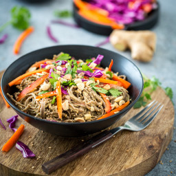 Spicy Peanut Soba Noodles with Veggies from Healthy Happy Vegan Kitchen + A