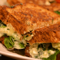spinach-and-artichoke-grilled-cheese-1580422.gif