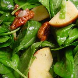 spinach-apple-and-pecan-salad-2.jpg
