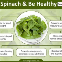 spinach-dip-2247457.jpg