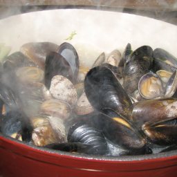 Steamed Mussels and Clams