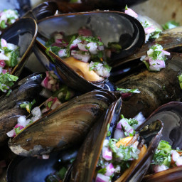 steamed-mussels-with-piri-piri-78f826.jpg