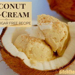 Sugar Free Coconut Ice Cream