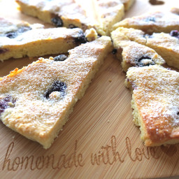 SUGAR FREE LEMON and BLUEBERRY DOUBLE BAKED COOKIES