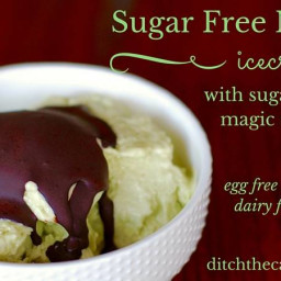 Sugar Free Mint Ice Cream With Sugar Free Magic Shell