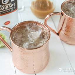 Sugar-Free Moscow Mule Cocktail
