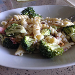 summer-pasta-broccoli-salad-9a8789e9051b0560a00874b0.jpg