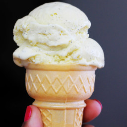 Super Creamy Vanilla Ice Cream