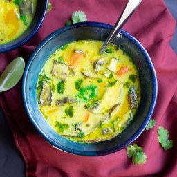 Sweet and Sour Thai Chicken Vegetable Soup 