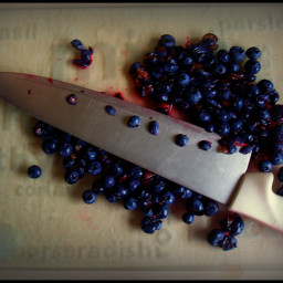 sweet-blueberry-bran-muffins.jpg