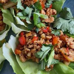 Sweet & Spicy Chicken Lettuce Cups by Daphne Oz
