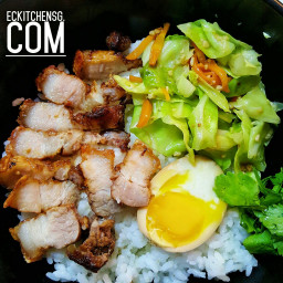 Taiwan Style Salted Pork Belly with Rice (鹹猪肉饭）