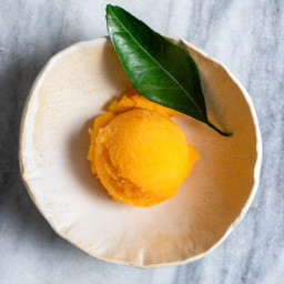 tangerine-sorbet-with-sake-2595129.jpg