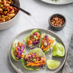 Tangy Chicken Vegetable Lettuce Wraps