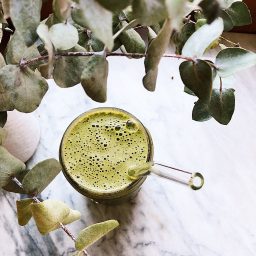 Tangy Green Citrus Smoothie