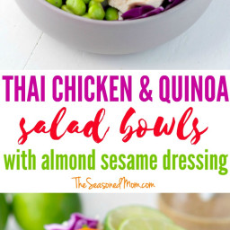 Thai Chicken and Quinoa Salad Bowls