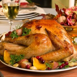 thanksgiving-turkey-2.jpg