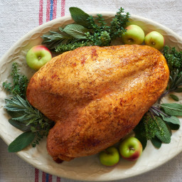 thanksgiving-turkey-a0819a.jpg