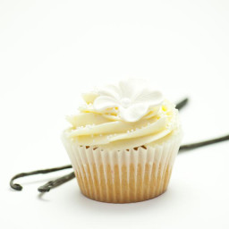 The Best All Purpose Dairy-Free Vanilla Frosting