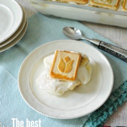The Best Banana Pudding Ever!