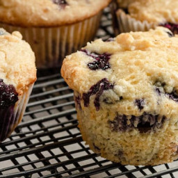 the-best-blueberry-muffins-5cef4f-abfaf37906005d90bc2180bf.jpg