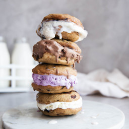 The Best Ice Cream Sandwich Cookies