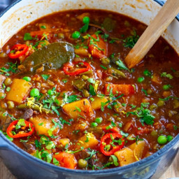 The BEST Instant Pot Vegetable Stew (with VIDEO)