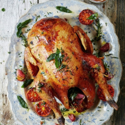 The best roast turkey - Christmas or any time