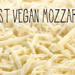 The Best Vegan Mozzarella!!!
